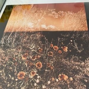 Framed Print * Original Photography